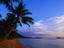 Palm trees and Double Island from Kewarra Beach in Cairns.