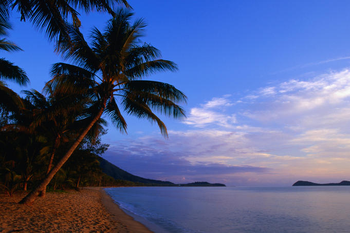 Palm trees and Double Island from Kewarra Beach in Cairns.