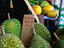 Rusty's Bazaar, Cairns