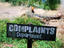 The Complaints Department and local officers at the Cairns Crocodile Farm.