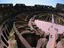Image_15275-8