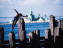 Man diving from pier.