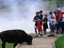 Tourists, a bison and Mud Volcano in Yellowsone National Park.
