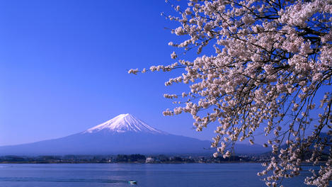 Image_15306-2