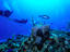 Image_15309-8