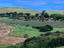Cane fields, Durban