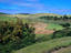 Image_1536-2