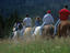Trail riding, Yellowstone National Park