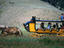Yellowstone Stagecoach, Yellowstone National Park