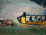 Yellowstone Stagecoach.