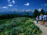 People hiking through the park.