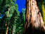 Image_15374-13