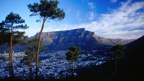 Image_1543-41