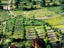 View of fields from escarpment above Sibi.