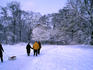 Frederiksberg Have covered in snow.