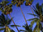 Image_15478-27