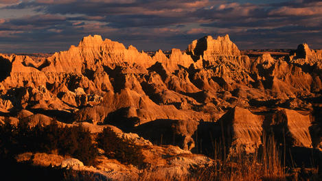 Image_15484-38