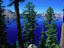 Image_15484-40