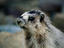 Image_15486-67