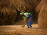 A Tharu woman sweeping.