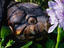 Image_15488-14