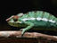 Image_15488-8