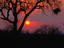 African sunset, Kruger National Park