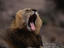 Image_15492-32