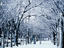 Image_15530-6