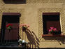 Characteristic facade decoration of a modern building, following centuries-old patterns and traditions.