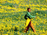 Boy in field of flowers.