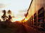 Image_15608-2