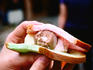 Locals like eating their ice cream in sandwiches made with soft, colored sweet bread.