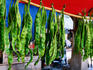 Stink beans hanging up at market.