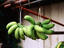 Image_15614-2