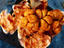 Image_15614-73