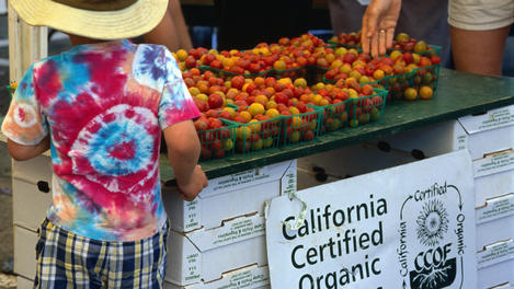 Organic tomatoes at farmers market