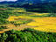 Napa Valley view.