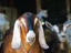 Image_15630-40