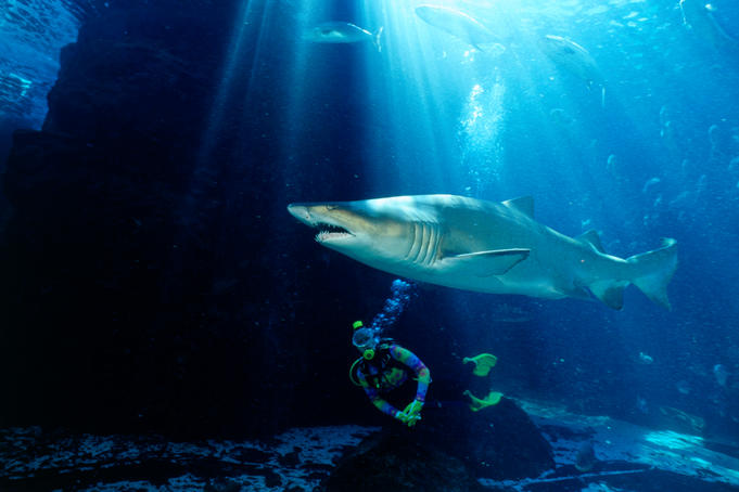 10 best underwater experiences 2011