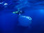 Image_15635-22