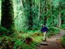 man near ferns on Marymere Falls trail.
