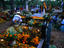 Image_1567-26