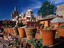 Pots of cacti, San Miguel de Allende