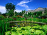 Garden pond of Mount Stewart House.