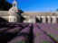 Abbey, Senanque, Avignon