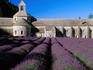 Lavender field at Abbey of Senanque.
