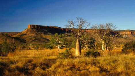 Image_1579-9