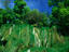 Image_15852-5