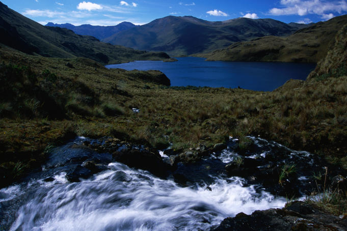 Cascade above Laguna Canutillos in the Cajas National Park.